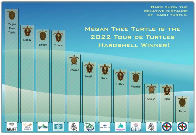 Tour de Turtles Saving Sea Turtles is a Marathon, Not a Sprint