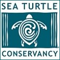 tour de turtles disney vero beach 2022